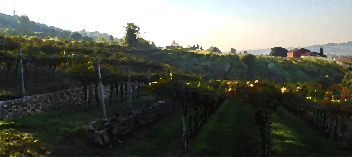 The Valpolicella Wine Region Discovery Guide